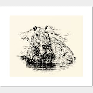 Capybara Posters and Art